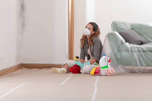 Reliable Mold Remediation contractor in Eatontown, NJ by Cheap Mold Removal
